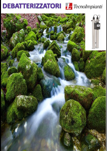 DEBATTERIZZATORI